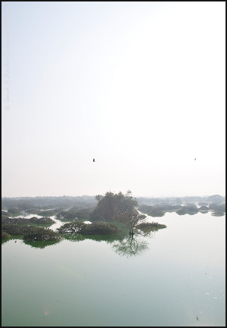 Vendanthangal Bird Sanctuary | Arial view | Fine Art | Creative & Artistic Nature Photography | Copyright © 1993-2017 Ganesh H. Shankar