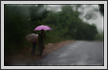 Monsoon Rain | creative_visions Fine Art Nature Photography