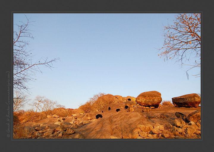 Daroji SLoth Bear Sanctury - Wider Perspective | Fine Art | Creative & Artistic Nature Photography | Copyright &copy; 1993-2017 Ganesh H. Shankar
