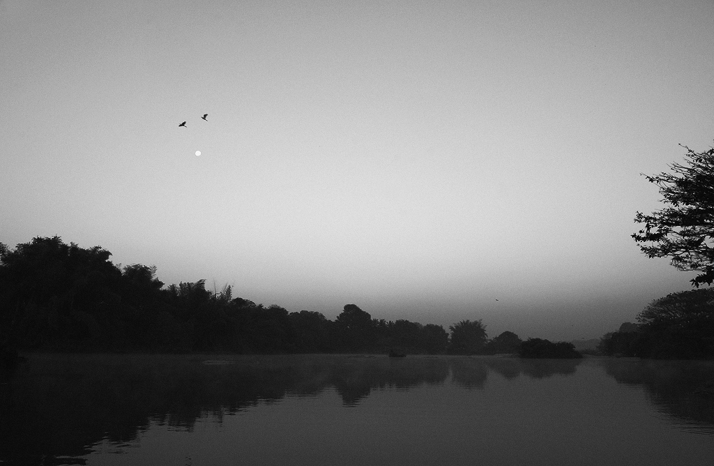  Dawn at Ranganathittu | Fine Art | Creative & Artistic Nature Photography | Copyright © 1993-2017 Ganesh H. Shankar