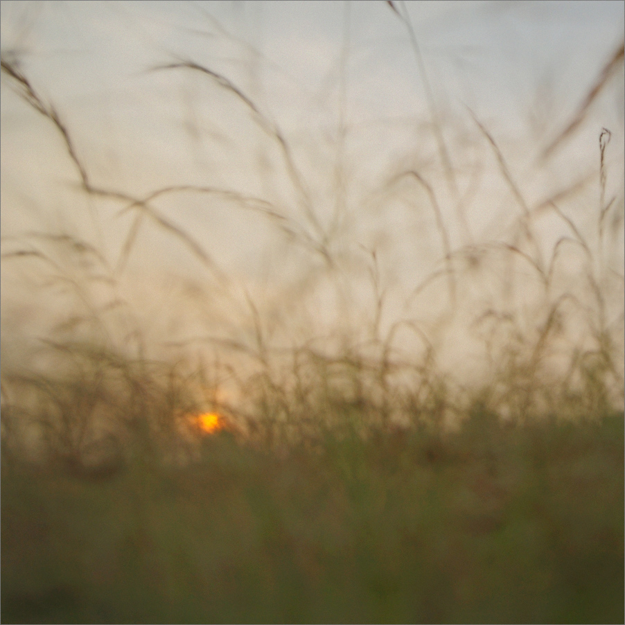 Sunrise in grassland | Fine Art | Creative & Artistic Nature Photography | Copyright © 1993-2017 Ganesh H. Shankar