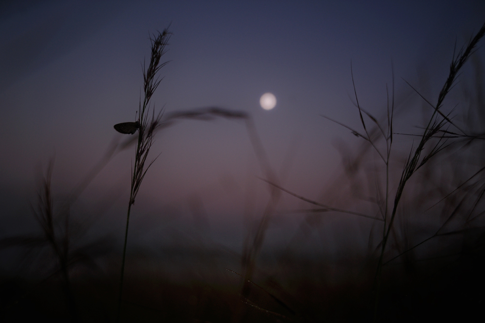 Moonset | Fine Art | Creative & Artistic Nature Photography | Copyright © 1993-2017 Ganesh H. Shankar