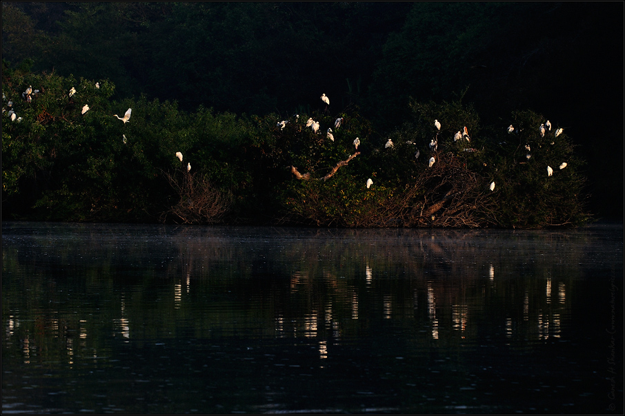 Morning at Ranganathittu Bird Sanctuary | Fine Art | Creative & Artistic Nature Photography | Copyright &copy; 1993-2017 Ganesh H. Shankar