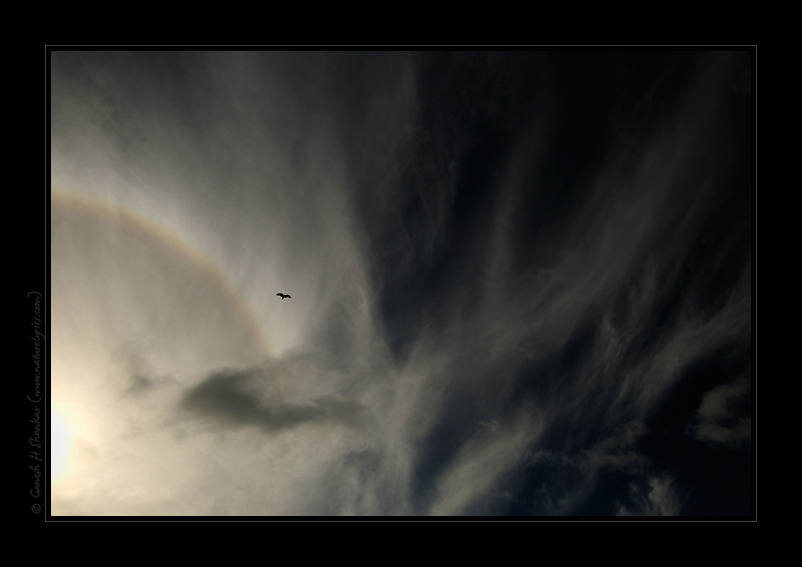 Rainbow and a Kite  | Fine Art | Creative & Artistic Nature Photography | Copyright © 1993-2017 Ganesh H. Shankar