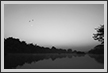  Dawn at Ranganathittu | bw Fine Art Nature Photography