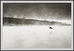  Egret in Flight | bw Fine Art Nature Photography