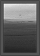 Hovering Black Shouldered Kite | favourites Fine Art Nature Photography