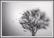  Dream Tree II  | creative_visions Fine Art Nature Photography