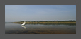 Egret's World | avian Fine Art Nature Photography