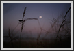 Moonset | favourites Fine Art Nature Photography