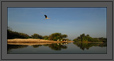 Ranganathittu Bird Sanctuary, India | creative_visions Fine Art Nature Photography