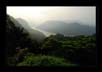 Sharavathi Valley | landscape Fine Art Nature Photography