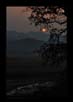 Sunrise at Corbett | landscape Fine Art Nature Photography